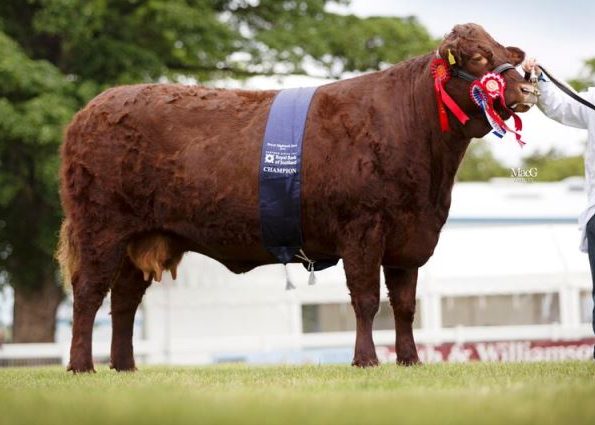 Read more about the article 2015 ROYAL HIGHLAND SHOW INGLISTON