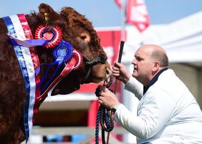 Read more about the article 2016 ROYAL ULSTER SHOW (BALMORAL)