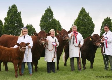 Read more about the article 2016 LINCOLN SHOW – SALERS