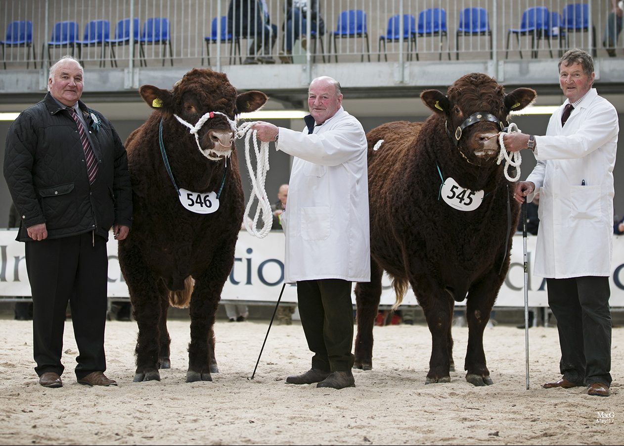 Read more about the article 2017 STIRLING BULL SALE 1st MAY