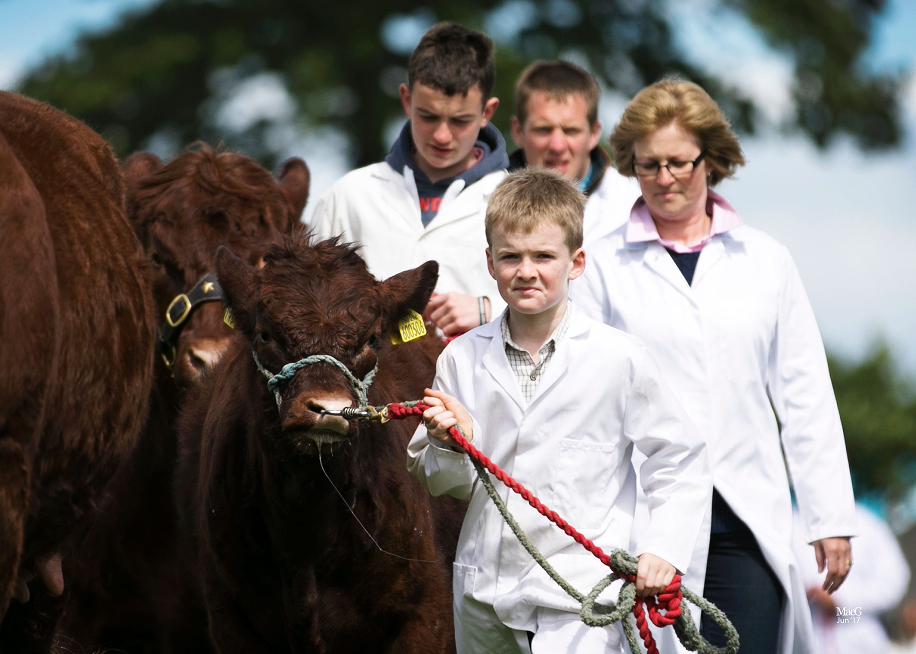 Read more about the article 2017 ROYAL HIGHLAND SHOW INGLISTON