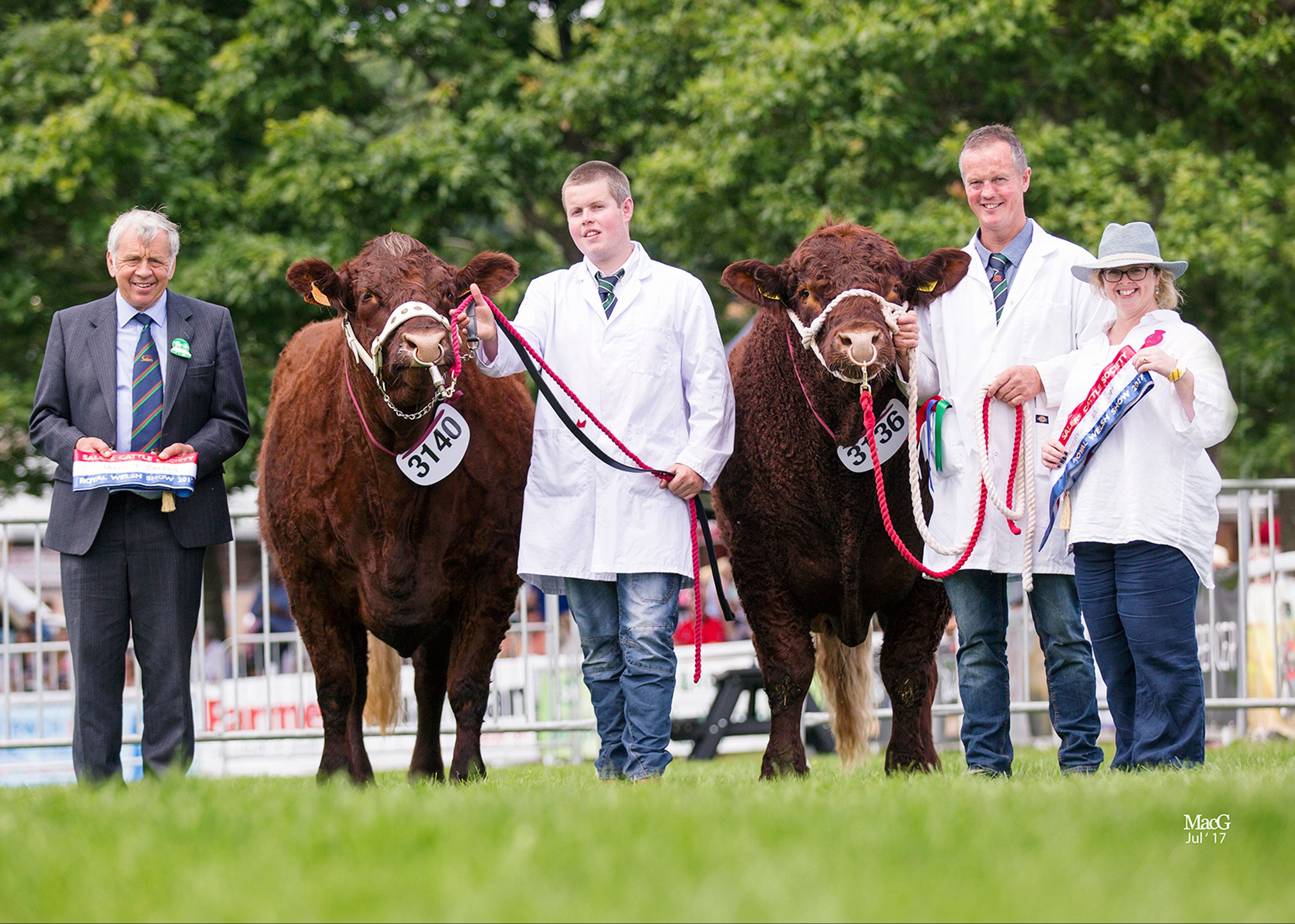 Read more about the article 2017 ROYAL WELSH SHOW LLANELWEDD