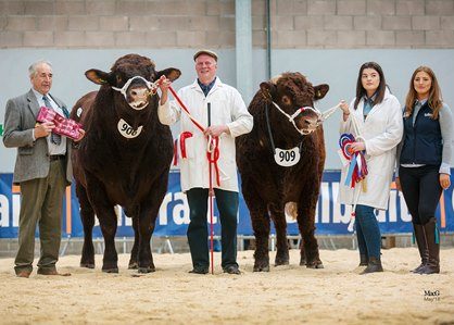 2018 STIRLING SALE 7TH MAY