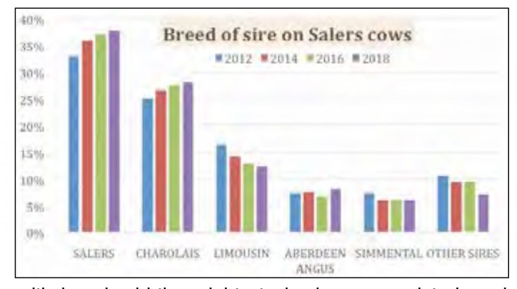 SALERS ON THE UP – 2018 MARKET REVIEW