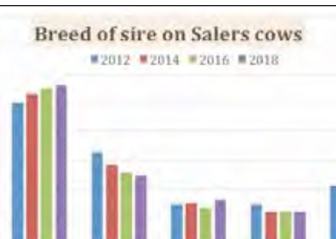 Read more about the article SALERS ON THE UP – 2018 MARKET REVIEW