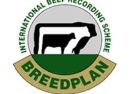 Read more about the article 2018 BREEDPLAN PUBLISHED SIRES