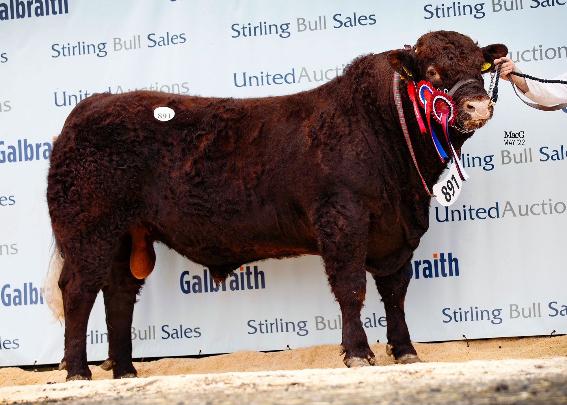 Read more about the article STIRLING BULL SALES – ENTRIES OPEN