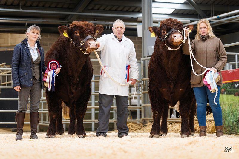 Read more about the article Melton Mowbray Sale 23rd March 2024