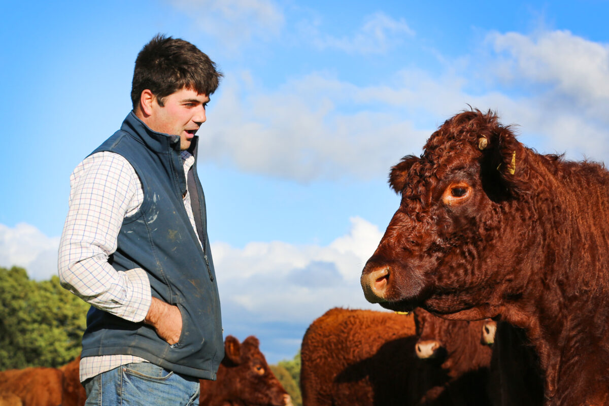 PERFORMANCE ATTRIBUTED TO THE MILKINESS OF THE SALERS’