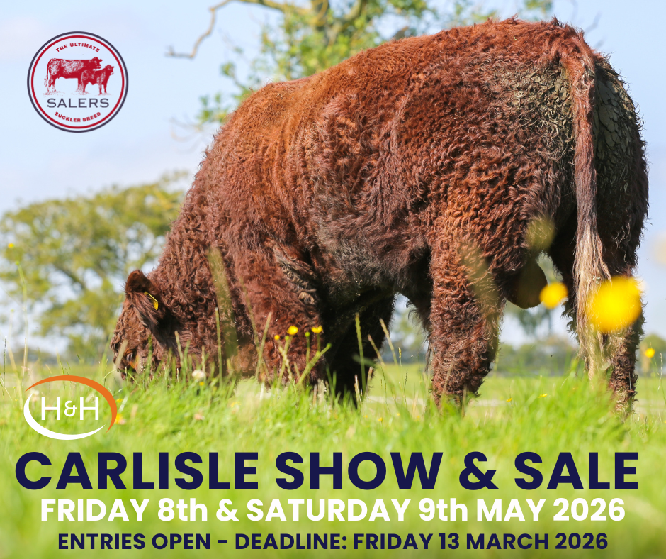 CARLISLE SPRING SHOW & SALE ENTER BY 13/03/2026