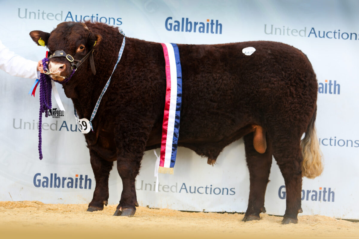 ULTRA STRONG TRADE FOR SALERS AT STIRLING