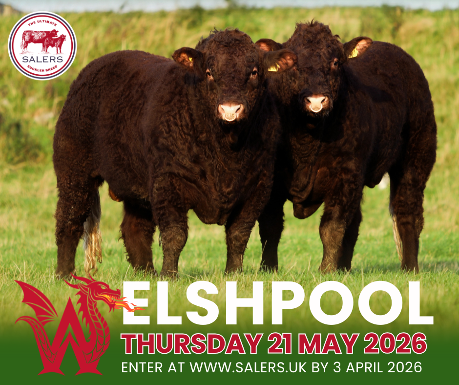 WELSHPOOL SPRING SHOW / SALE – ENTER BY 03/04/26