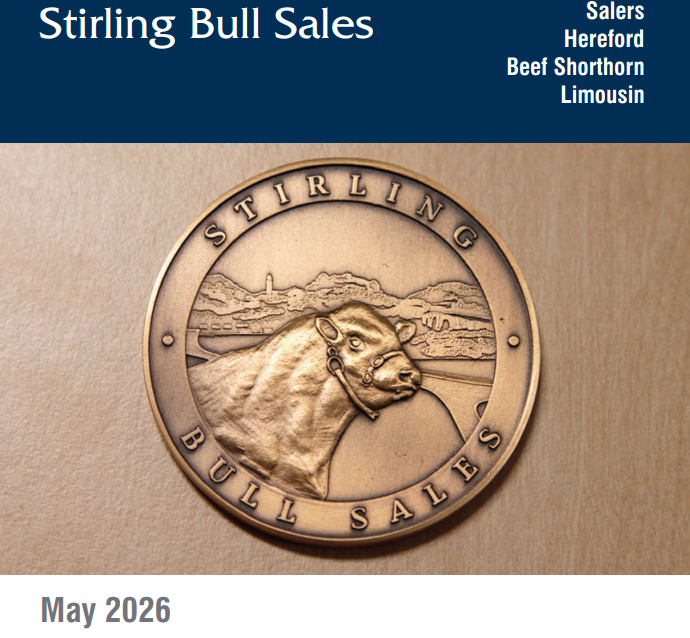 CATALOGUE – STIRLING BULL SALES