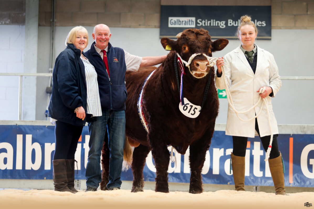 SALERS STRIKE 16,000GNS TWICE AT STIRLING