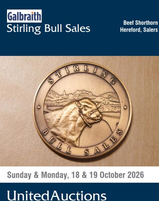 STIRLING BULL SALES – CATALOGUE