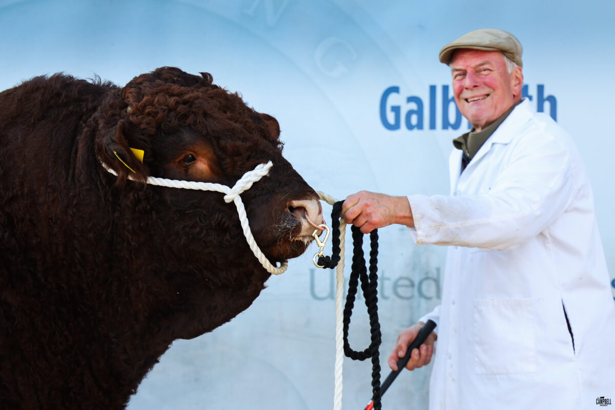 RIGEL UILAIG POLL – 6,500GNS