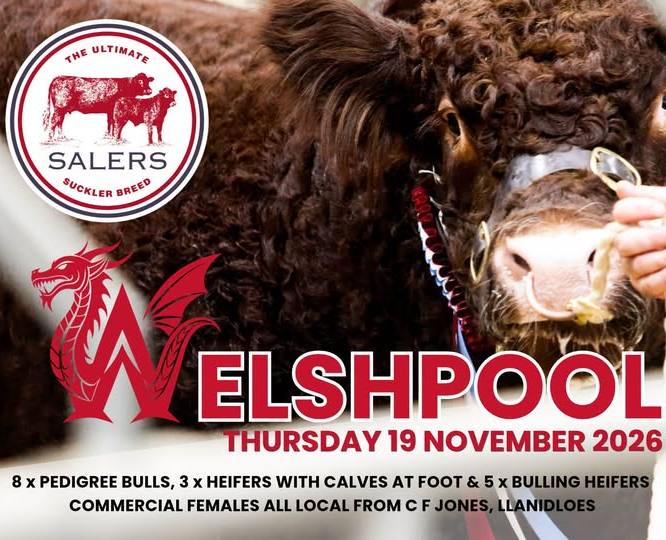WELSHPOOL AUTUMN SALE –  CATALOGUE